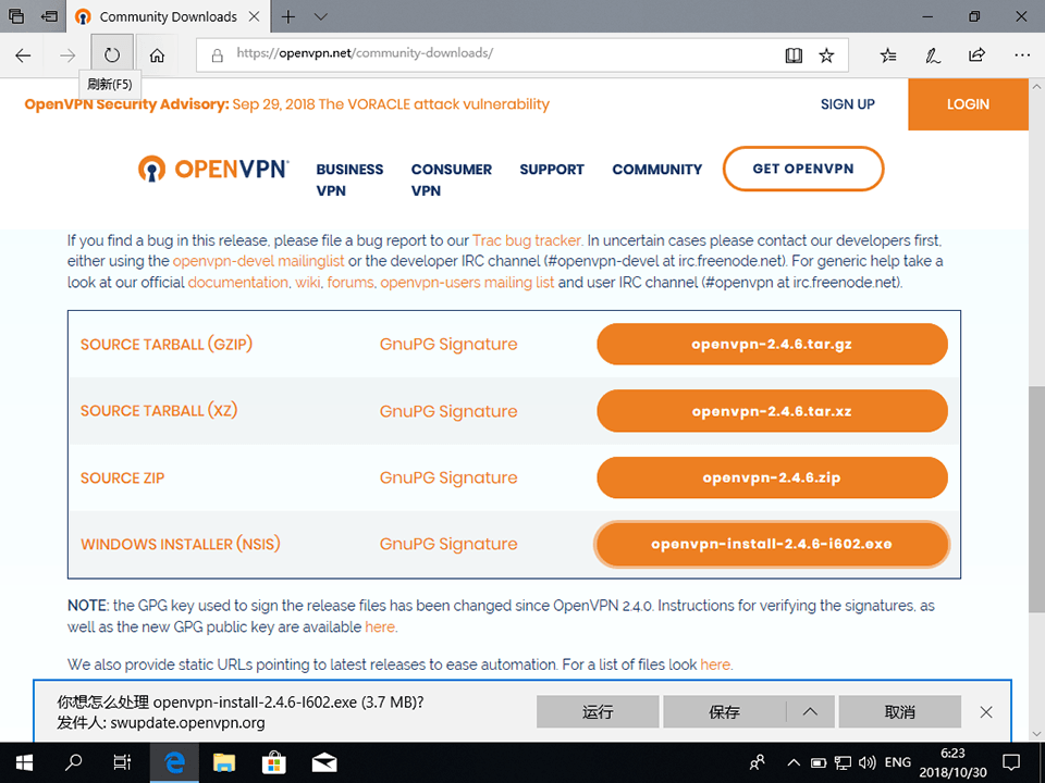 Setting up OpenVPN on Windows 10, step 1