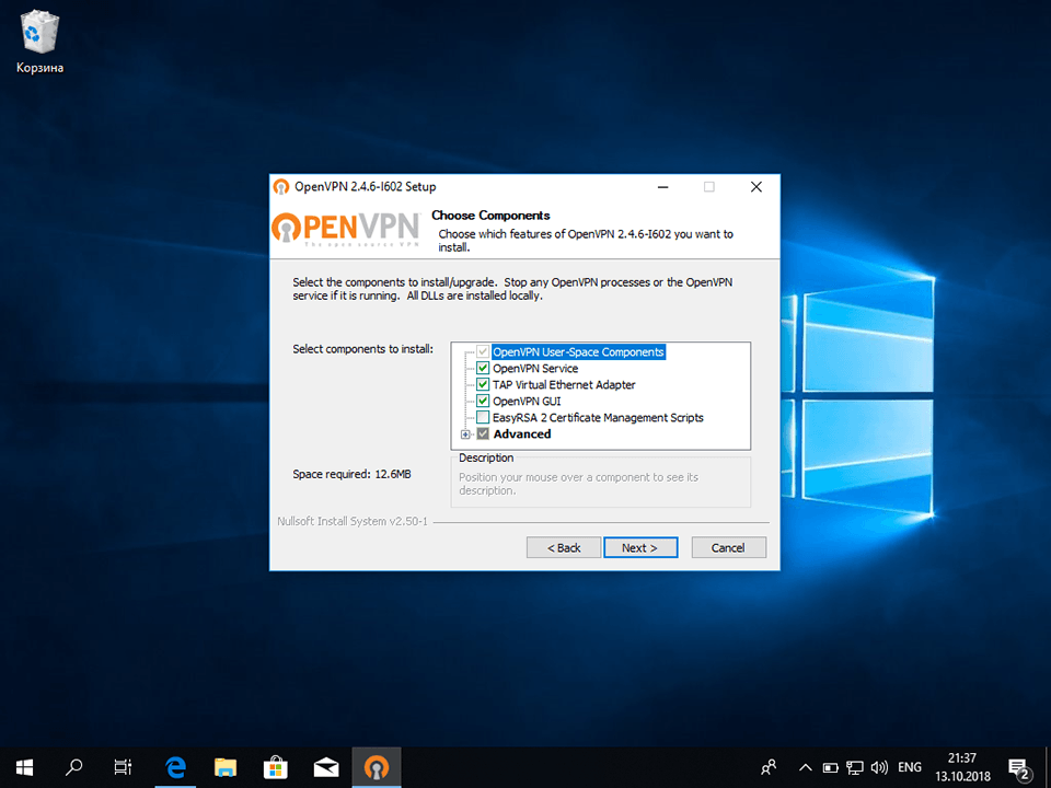 Настройка OpenVPN на Windows 10, шаг 5