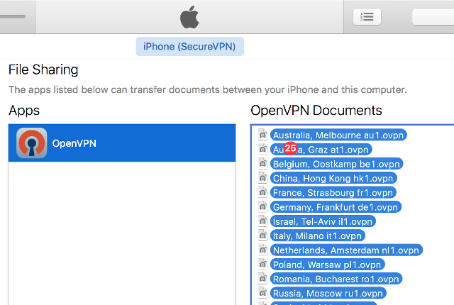 Setting up OpenVPN on iOS, step 4