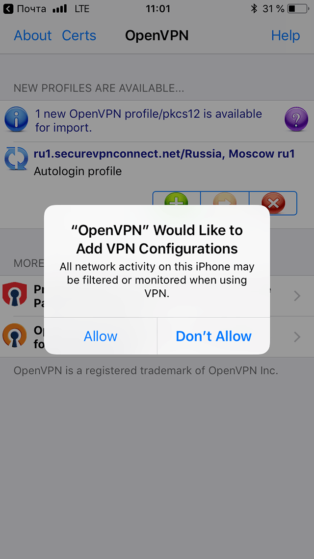 Setting up OpenVPN on iOS, step 9