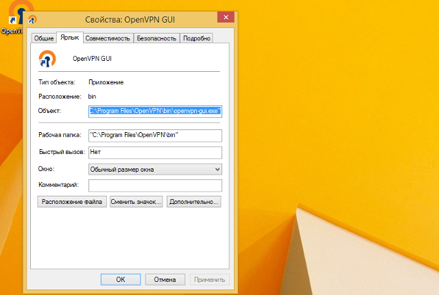 Настройка OpenVPN на Windows 8, шаг 10